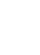 Globe Network International